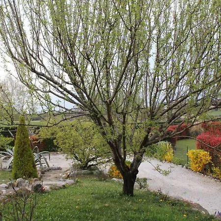 A Cjase Di Sandra Moruzzo