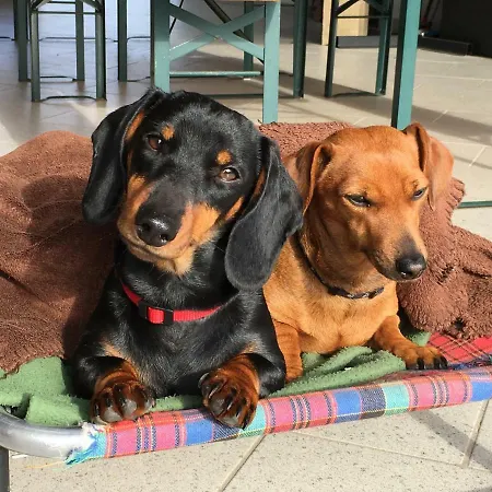 A Cjase Di Sandra فندق مبيت وإفطار Moruzzo