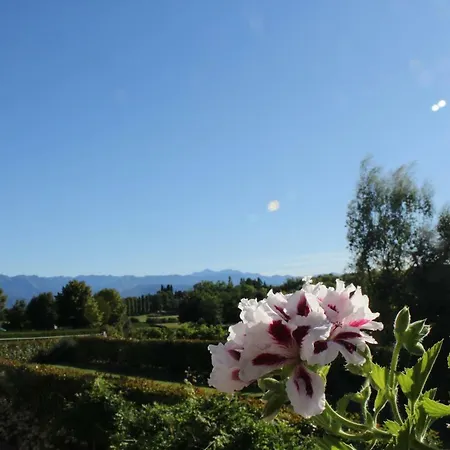 A Cjase Di Sandra Bed & Breakfast