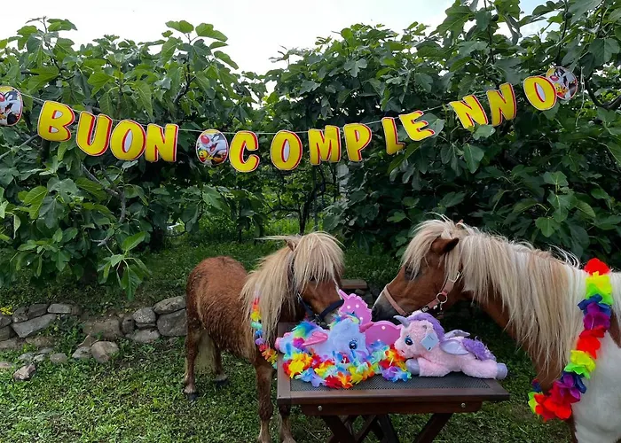 A Cjase Di Sandra Panzió