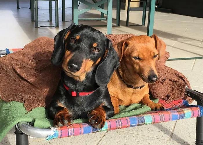 A Cjase Di Sandra Panzió Moruzzo