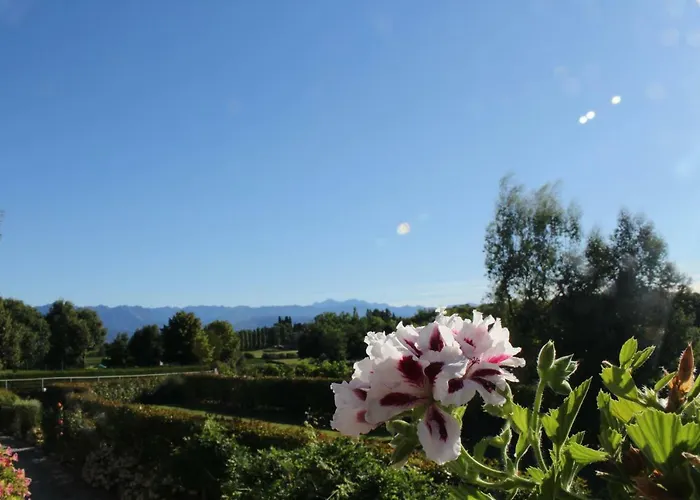 A Cjase Di Sandra Panzió